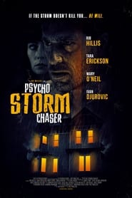 Psycho Storm Chaser (2021) Hindi Dubbed Watch Online Free