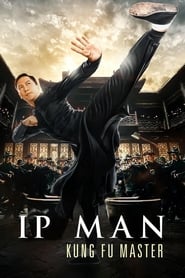 Ip Man: Kung Fu Master (2019) Hindi Dubbed Watch Online Free