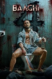 Baaghi 4 2025 Hindi