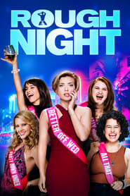 Rough Night (2017) Hindi Dubbed