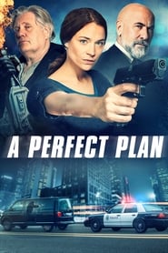 A Perfect Plan (2020) Hindi Dubbed