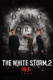 The White Storm 2: Drug Lords (2019) Hindi Dubbed